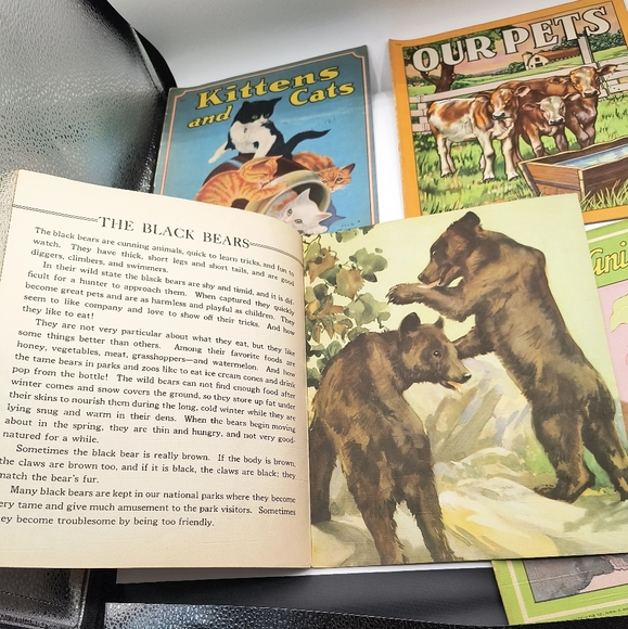 1943 Animal Story Book Collection Lot Of 4 Children's Publication Saalfield Co. - Picture 7 of 11